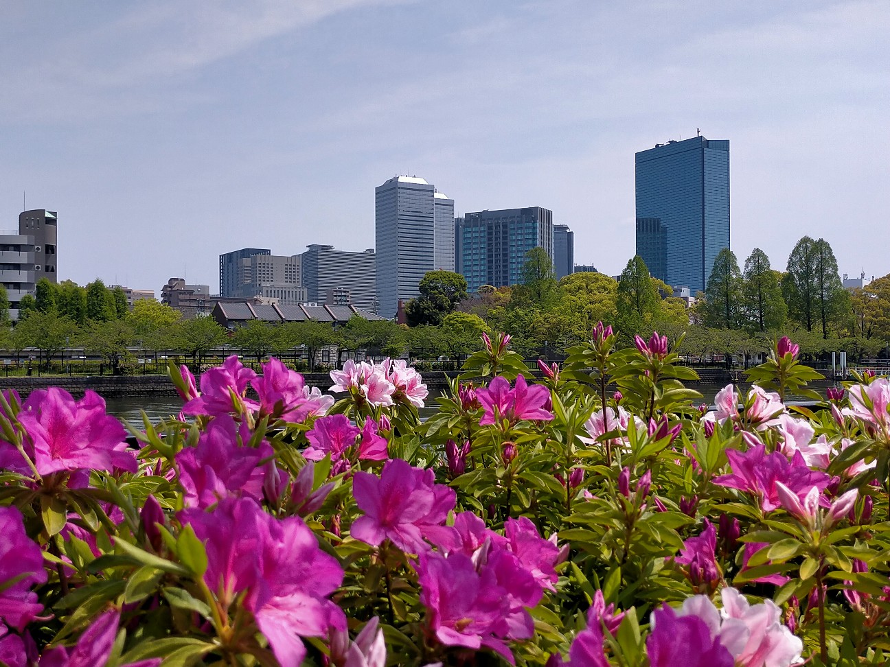 f:id:tamikiti67:20220419232132j:image