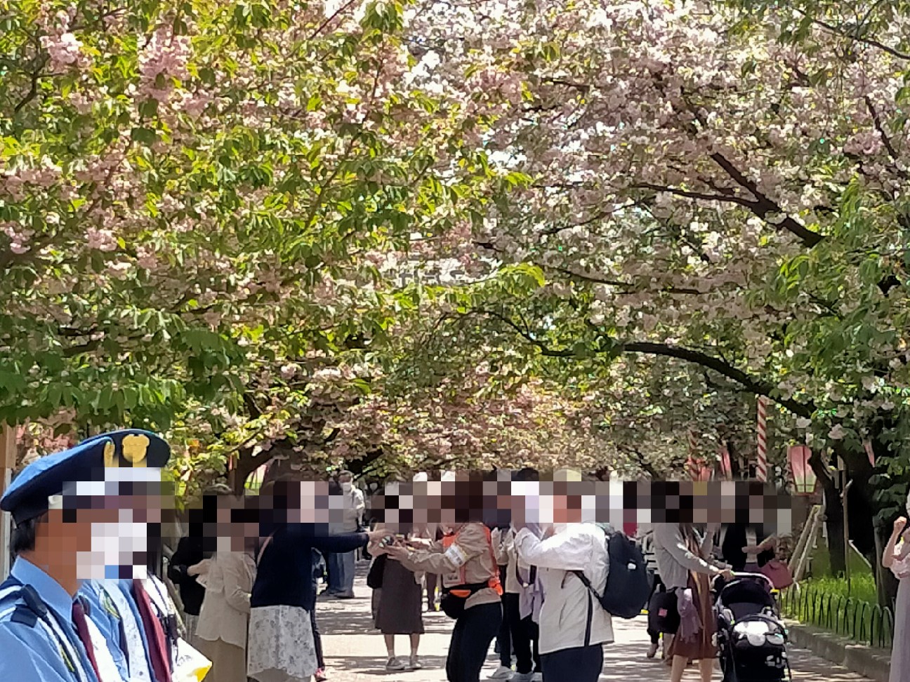 f:id:tamikiti67:20220422122354j:image