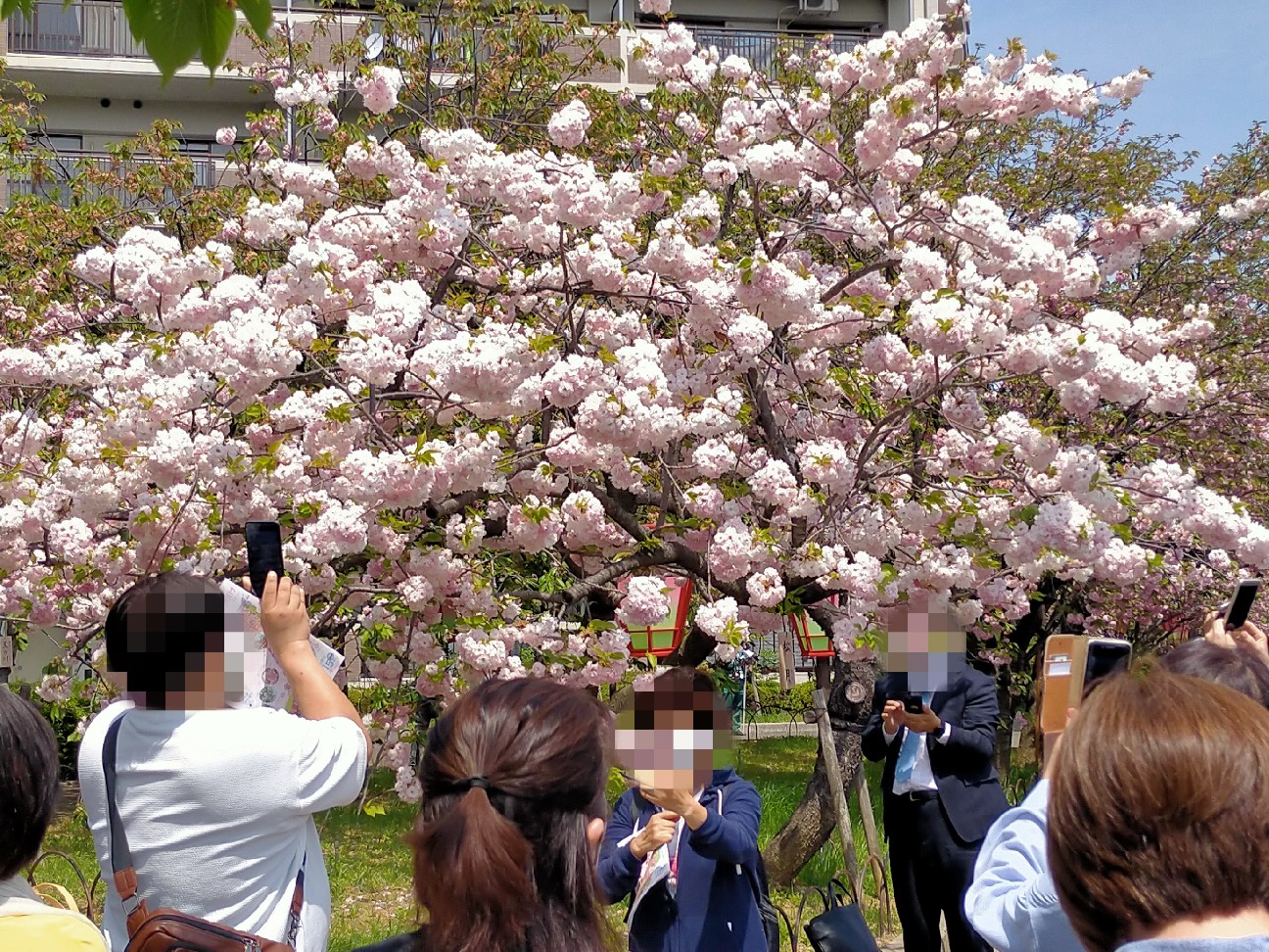 f:id:tamikiti67:20220422122425j:image