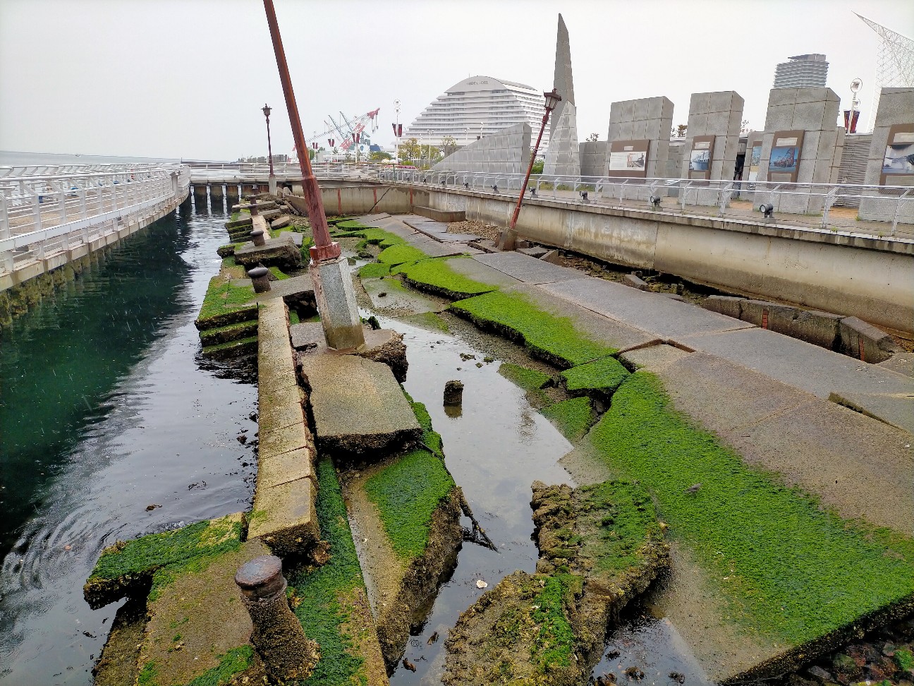 f:id:tamikiti67:20220423161121j:image