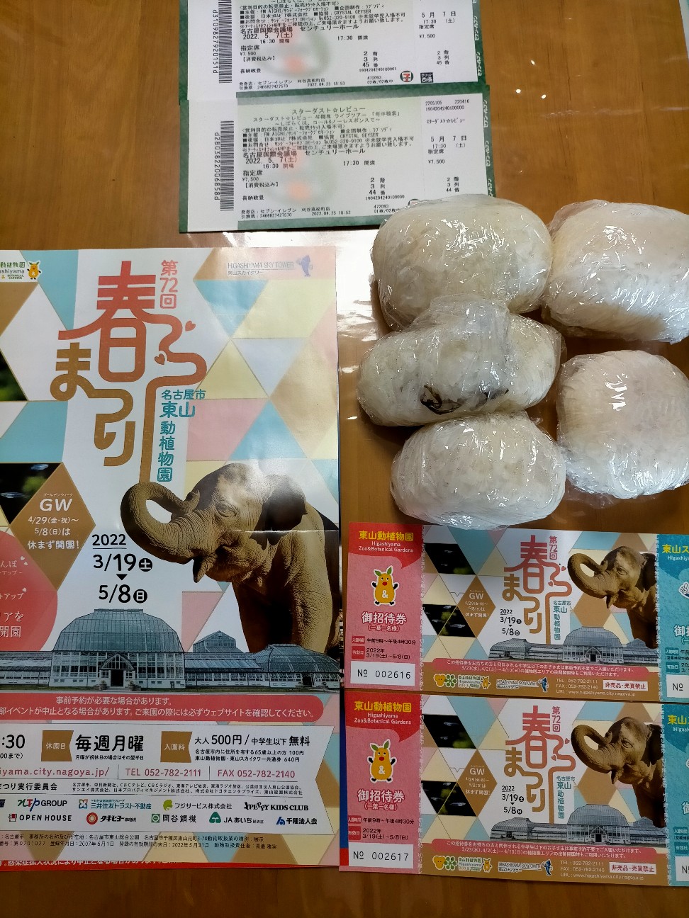 Gwで混雑する東山動植物園に行ってきました まーきちのお気楽生活