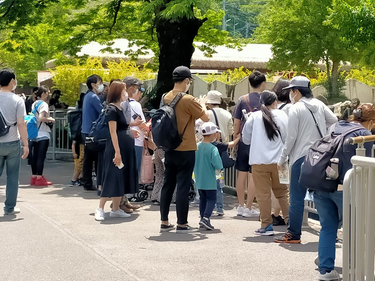 Gwで混雑する東山動植物園に行ってきました まーきちのお気楽生活