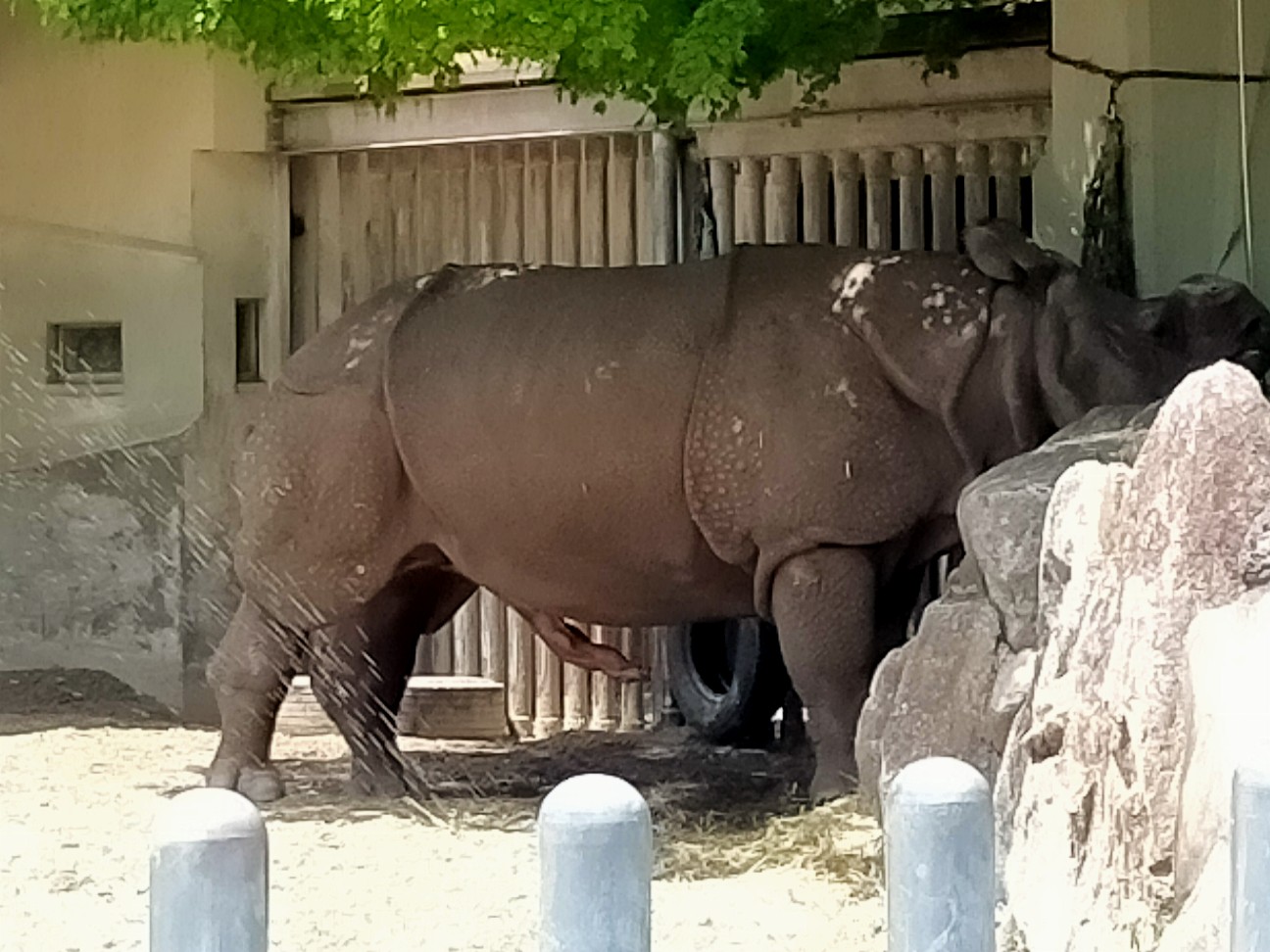 Gwで混雑する東山動植物園に行ってきました まーきちのお気楽生活