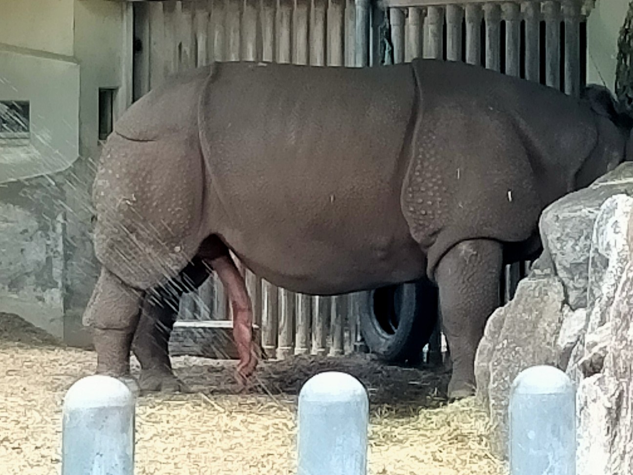 Gwで混雑する東山動植物園に行ってきました まーきちのお気楽生活