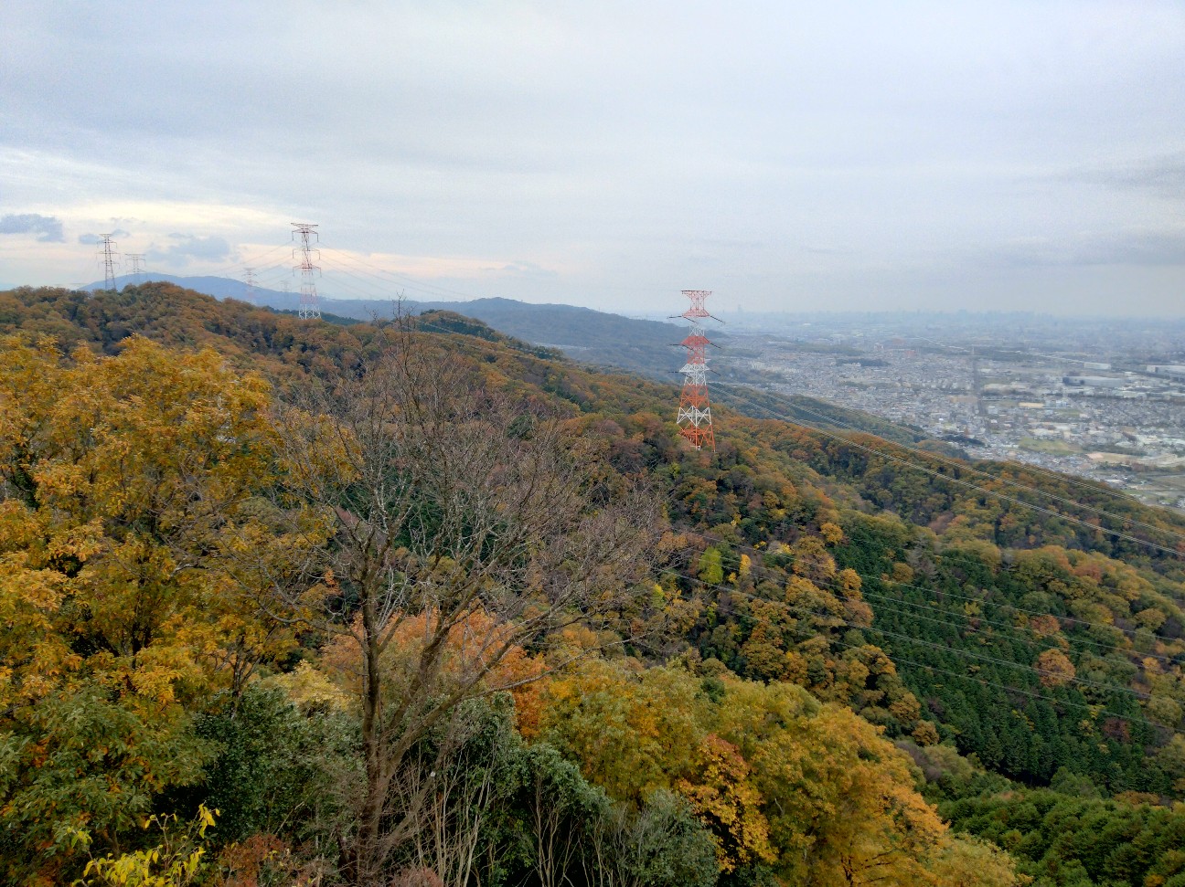 f:id:tamikiti67:20221122151000j:image f:id:tamikiti67:20221122151000j:image