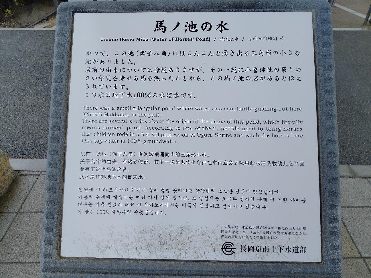 f:id:tamikiti67:20230510184939j:image