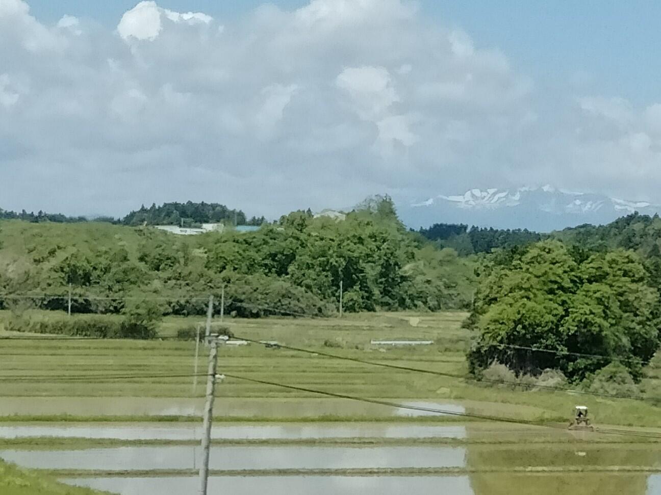 f:id:tamikiti67:20230516112918j:image