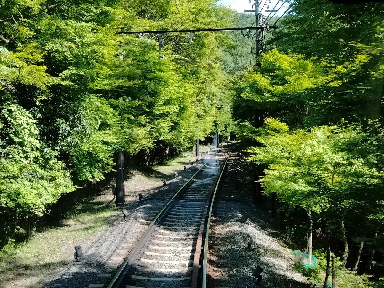 f:id:tamikiti67:20230531213127j:image f:id:tamikiti67:20230531213127j:image