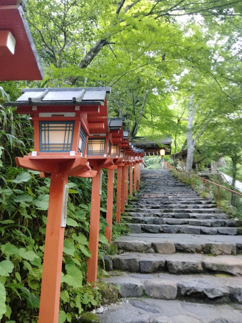 f:id:tamikiti67:20230531213830j:image f:id:tamikiti67:20230531213830j:image