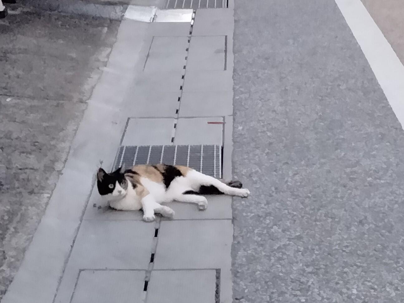 f:id:tamikiti67:20230802193557j:image