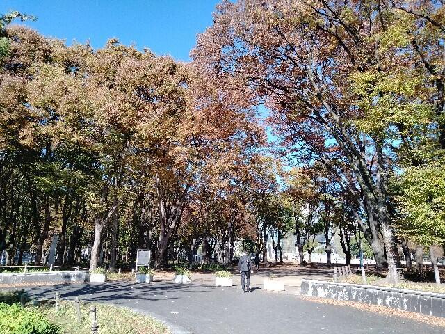 f:id:tamikiti67:20231114235941j:image