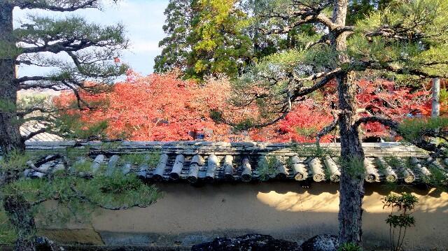 f:id:tamikiti67:20231128154357j:image f:id:tamikiti67:20231128154357j:image