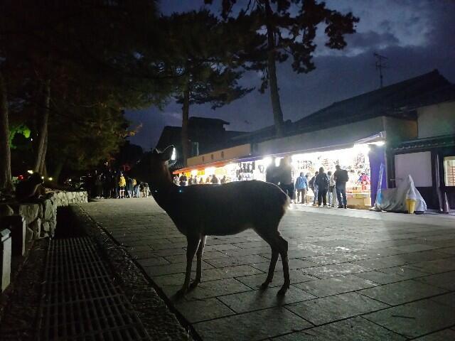 f:id:tamikiti67:20231128194331j:image f:id:tamikiti67:20231128194331j:image