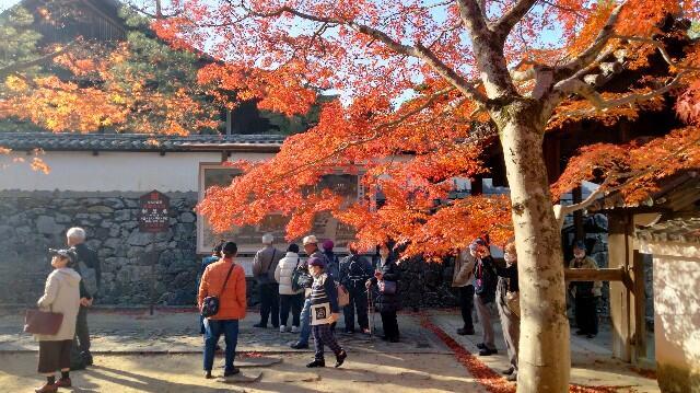 f:id:tamikiti67:20231128204845j:image f:id:tamikiti67:20231128204845j:image