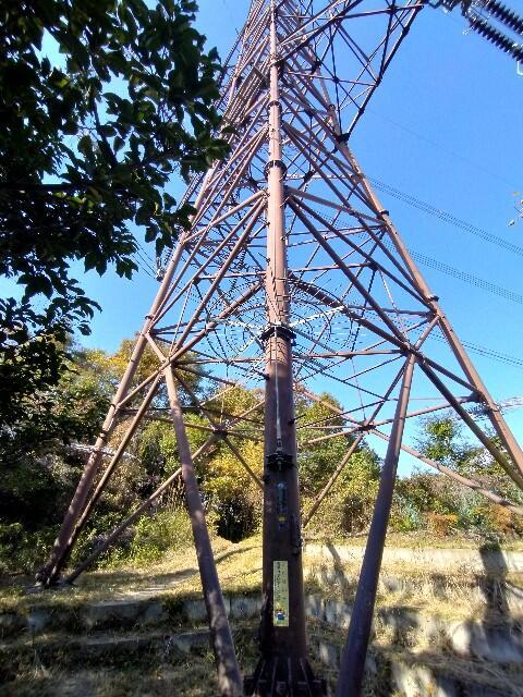 f:id:tamikiti67:20231129070253j:image f:id:tamikiti67:20231129070253j:image