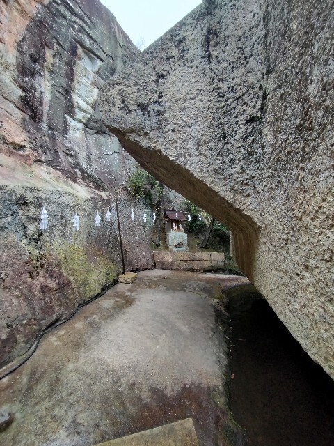 f:id:tamikiti67:20240321190324j:image f:id:tamikiti67:20240321190324j:image