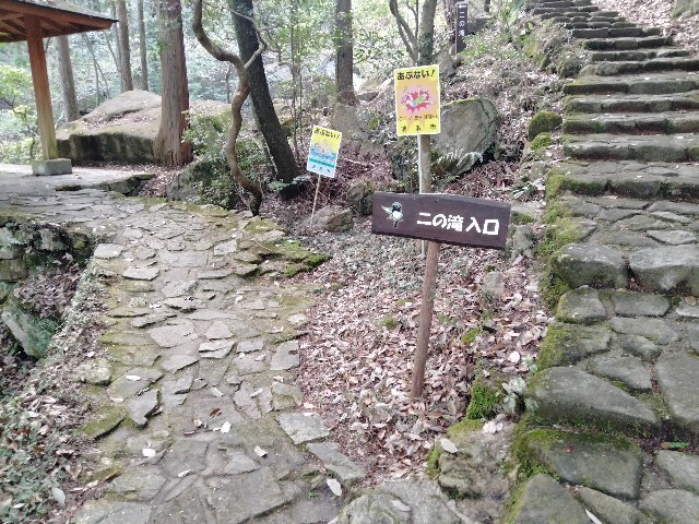 f:id:tamikiti67:20240417170318j:image