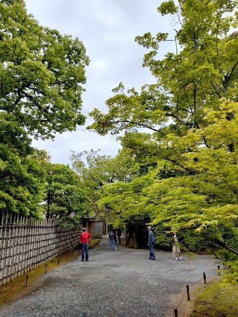 f:id:tamikiti67:20240424153439j:image