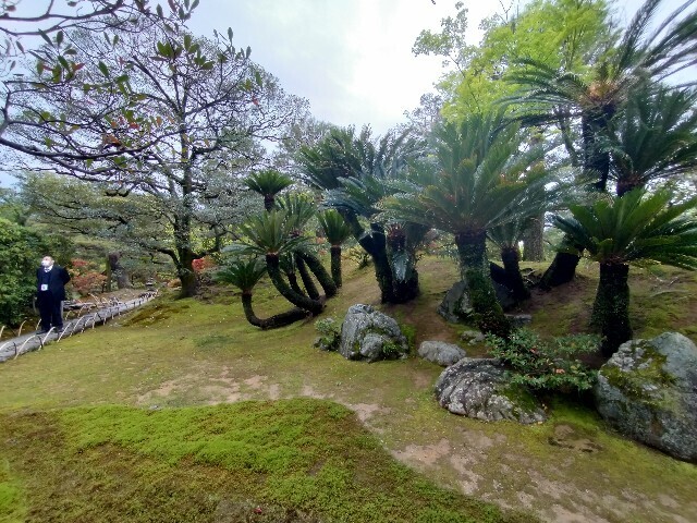 f:id:tamikiti67:20240424210347j:image