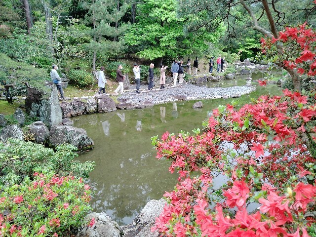 f:id:tamikiti67:20240424210429j:image