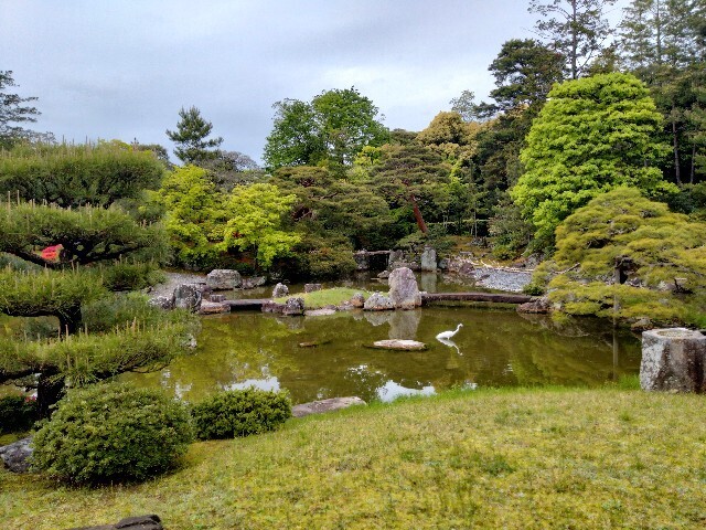 f:id:tamikiti67:20240424210651j:image