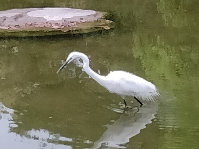 f:id:tamikiti67:20240424210705j:image