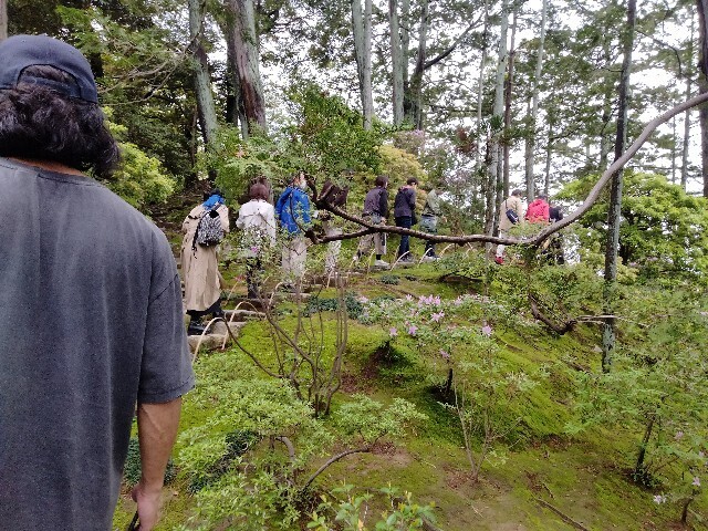 f:id:tamikiti67:20240424210734j:image