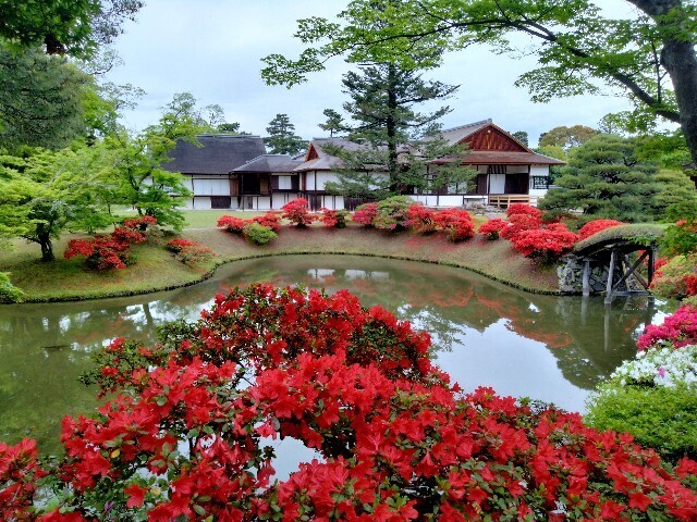 f:id:tamikiti67:20240424210842j:image