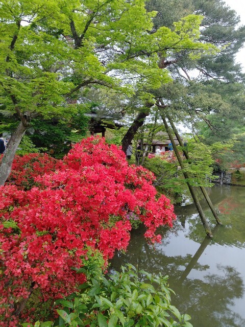 f:id:tamikiti67:20240424210859j:image