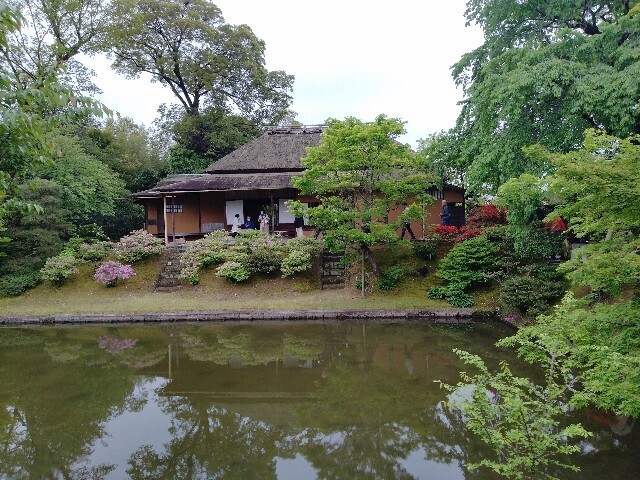 f:id:tamikiti67:20240424210942j:image