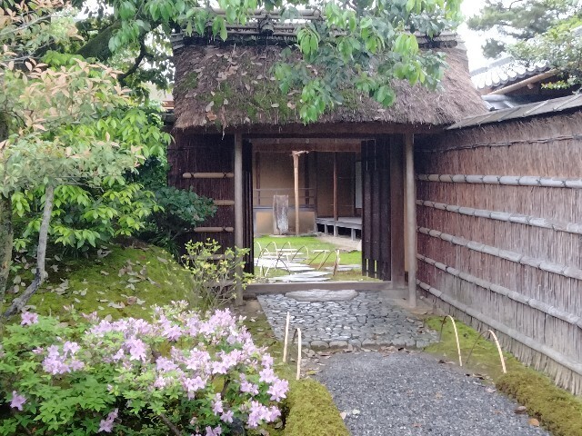 f:id:tamikiti67:20240424211213j:image