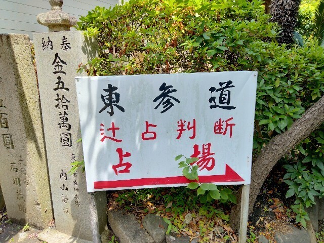 f:id:tamikiti67:20240619123734j:image