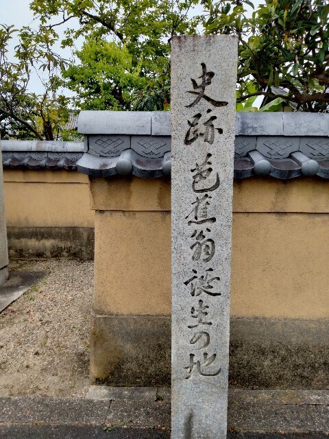 f:id:tamikiti67:20240620143438j:image