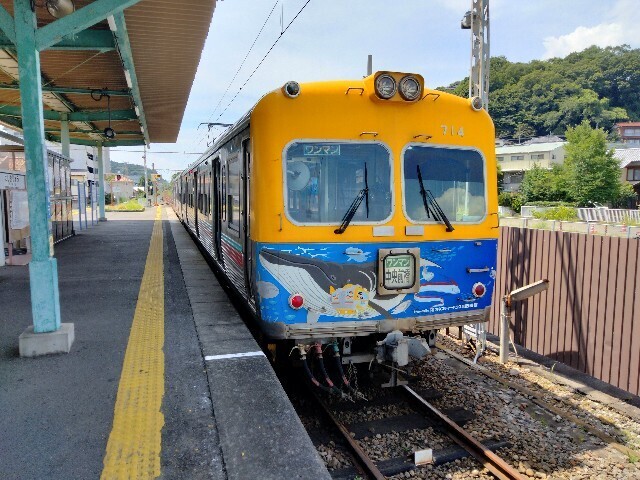 f:id:tamikiti67:20240721134423j:image f:id:tamikiti67:20240721134423j:image