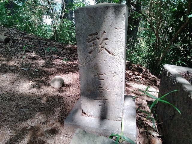 f:id:tamikiti67:20240721134709j:image f:id:tamikiti67:20240721134709j:image