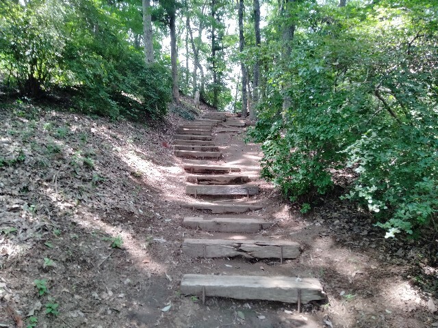 f:id:tamikiti67:20240721134725j:image f:id:tamikiti67:20240721134725j:image