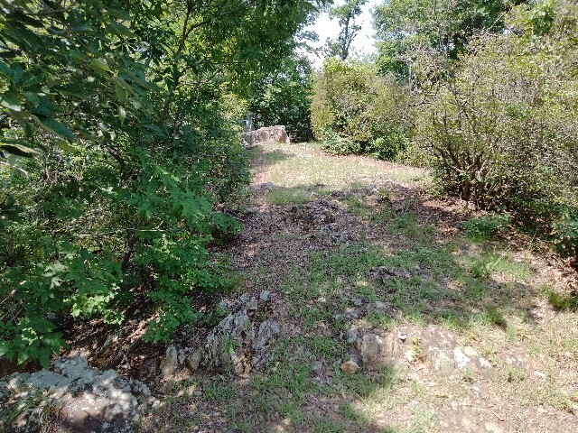 f:id:tamikiti67:20240721134809j:image f:id:tamikiti67:20240721134809j:image