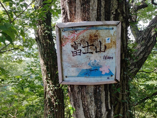 f:id:tamikiti67:20240721134833j:image f:id:tamikiti67:20240721134833j:image