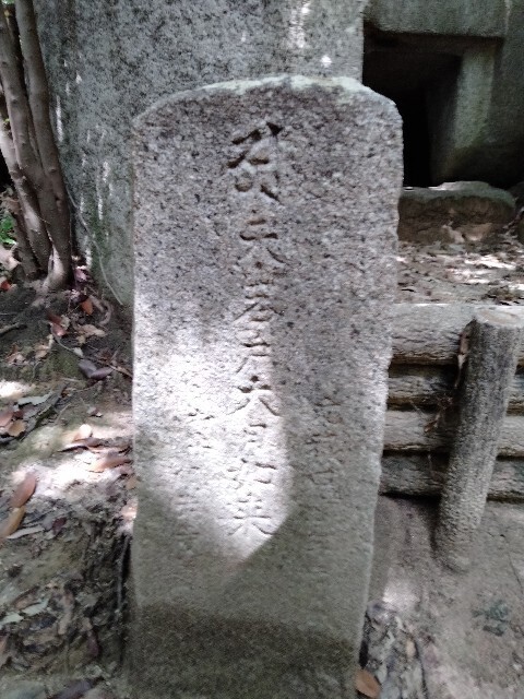 f:id:tamikiti67:20240821135550j:image f:id:tamikiti67:20240821135550j:image