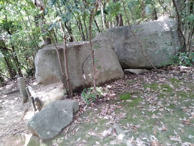 f:id:tamikiti67:20240821135630j:image f:id:tamikiti67:20240821135630j:image