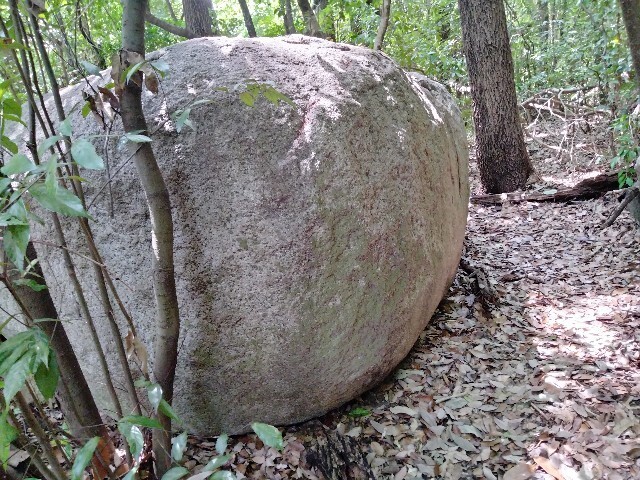 f:id:tamikiti67:20240821135639j:image f:id:tamikiti67:20240821135639j:image