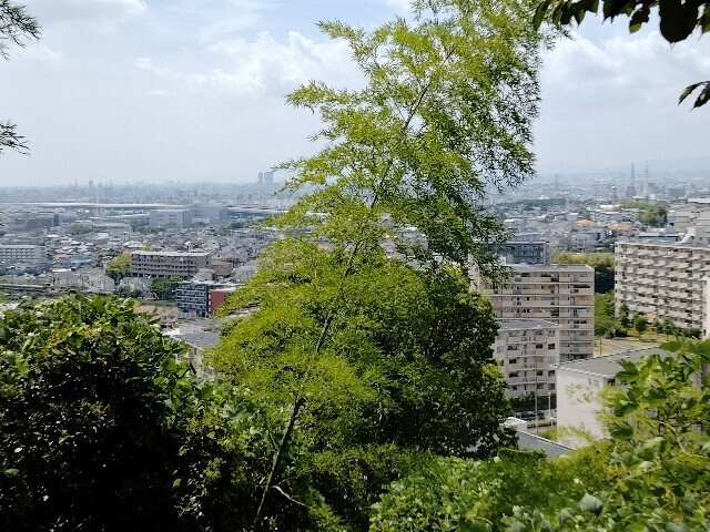 f:id:tamikiti67:20240821140251j:image f:id:tamikiti67:20240821140251j:image