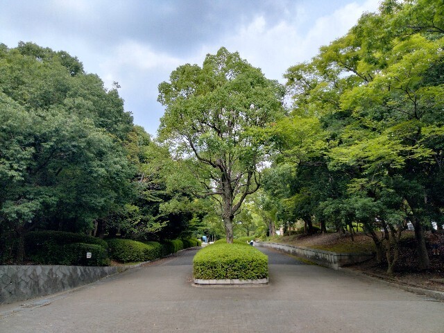 f:id:tamikiti67:20240821145831j:image f:id:tamikiti67:20240821145831j:image