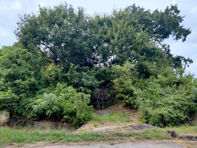 f:id:tamikiti67:20240821145843j:image f:id:tamikiti67:20240821145843j:image