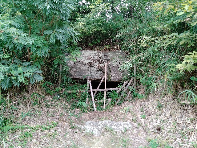 f:id:tamikiti67:20240821145900j:image f:id:tamikiti67:20240821145900j:image