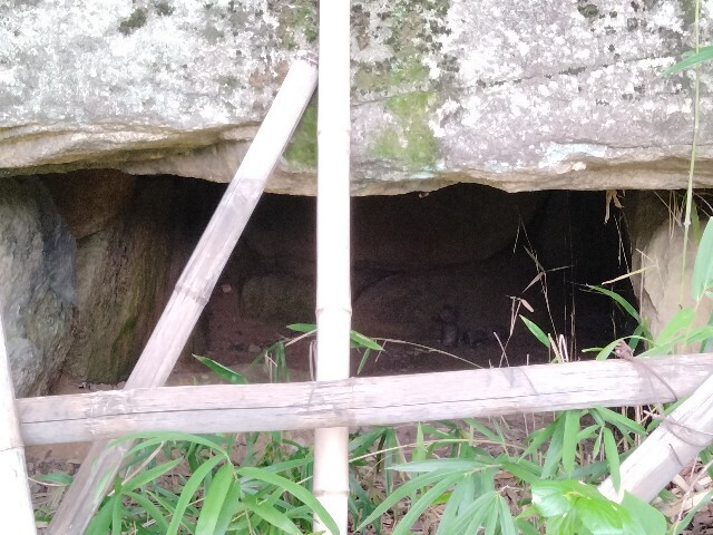 f:id:tamikiti67:20240821145910j:image f:id:tamikiti67:20240821145910j:image