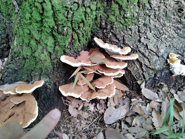 f:id:tamikiti67:20240821151336j:image f:id:tamikiti67:20240821151336j:image