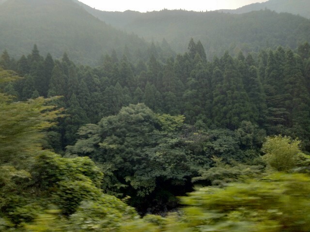 f:id:tamikiti67:20240908070222j:image