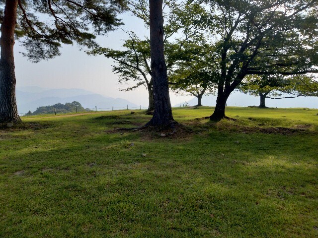 f:id:tamikiti67:20240908100628j:image