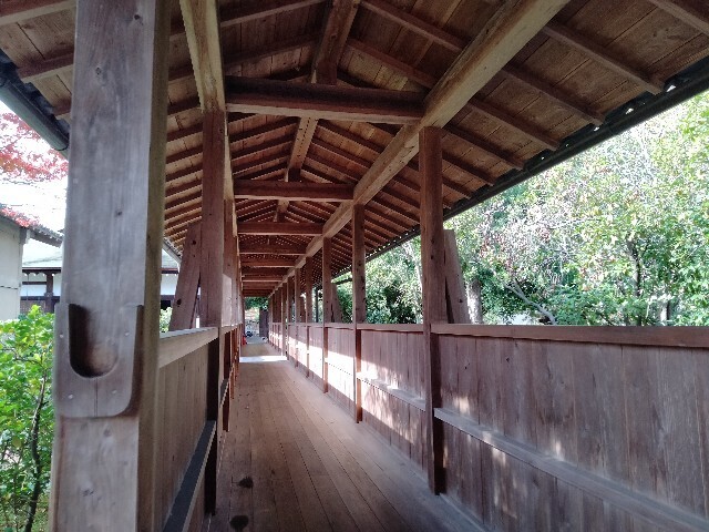 f:id:tamikiti67:20241205172952j:image